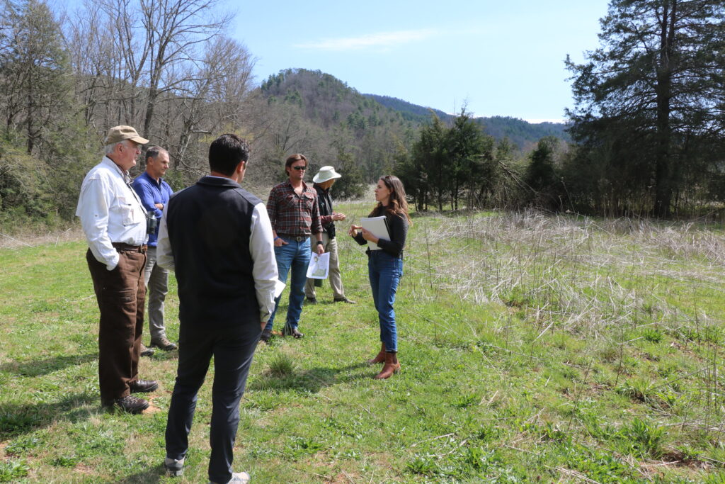 Tremont President and CEO Catey McClary and board members discuss the future of the second campus while visiting the Townsend property. Photo by Erin Rosolina.